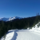 Whistler Olympic Park