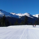 Whistler Olympic Park