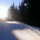 Whistler Olympic Park