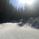 Whistler Olympic Park